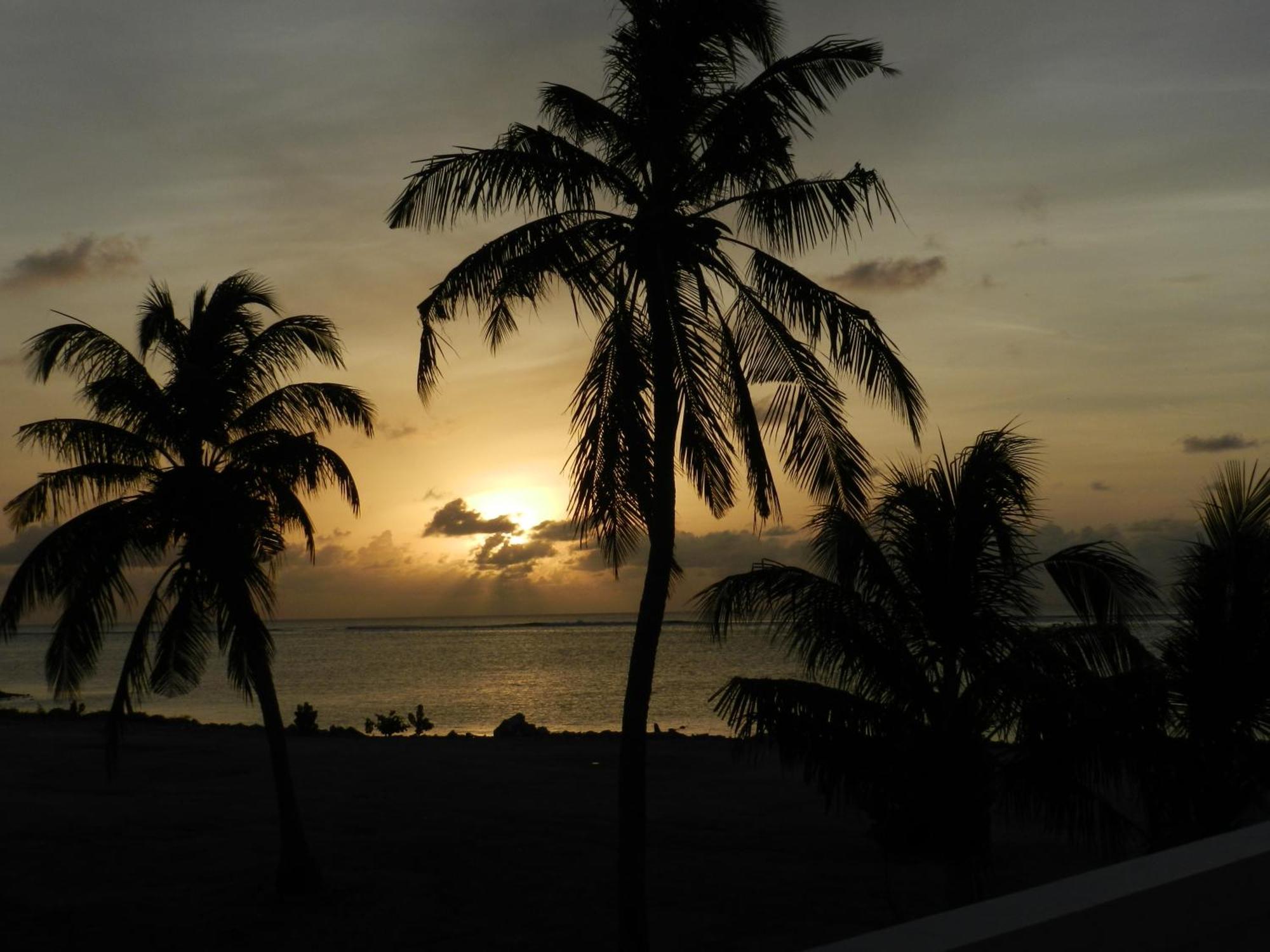 Faza View Inn, Maafushi Eksteriør billede