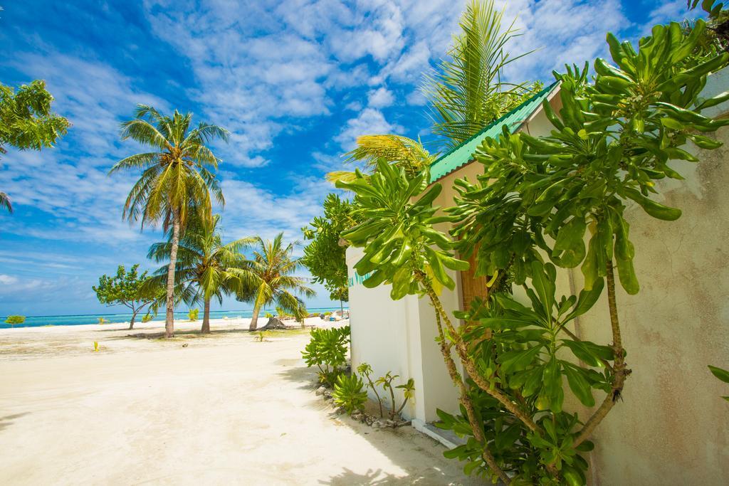 Faza View Inn, Maafushi Eksteriør billede