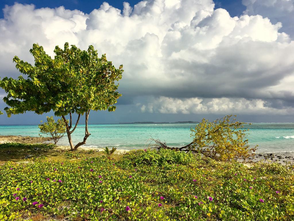 Faza View Inn, Maafushi Eksteriør billede