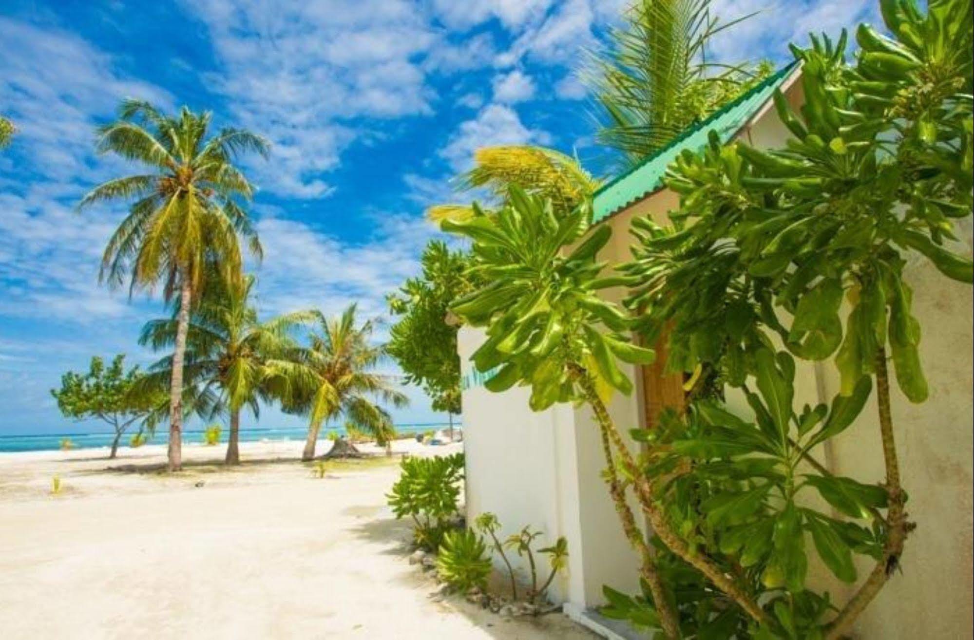 Faza View Inn, Maafushi Eksteriør billede