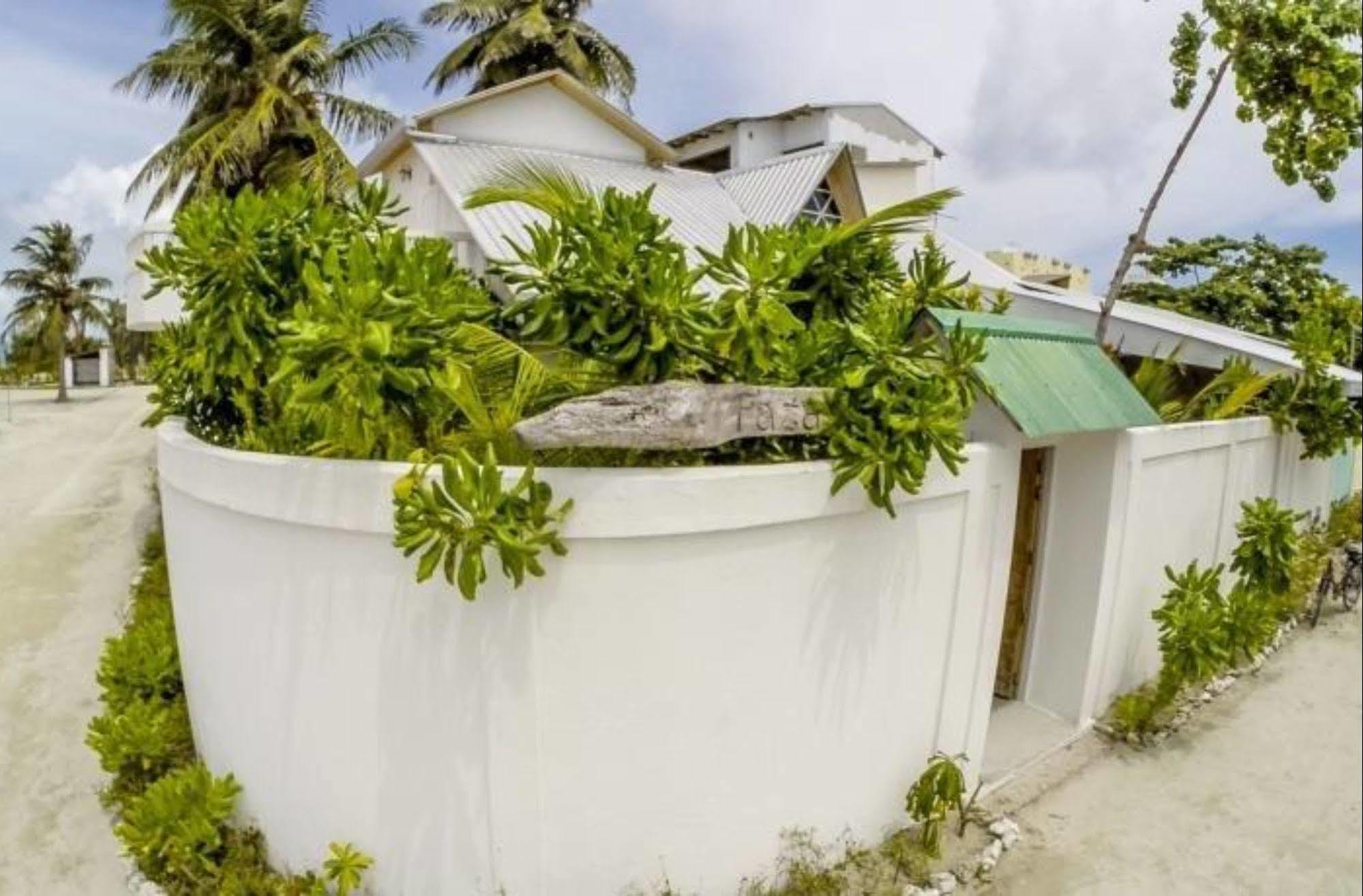 Faza View Inn, Maafushi Eksteriør billede